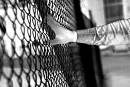 AXIS Q1961-TE from Axis Communications - thermal camera - image 9