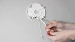 AXIS P1448-LE from AXIS COMMUNICATIONS - box IP camera - image 3